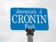 Jeremiah J. Cronin Park 